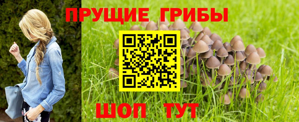Ирбит  Галлюциногенные грибы мухоморы  Вход с VPN 